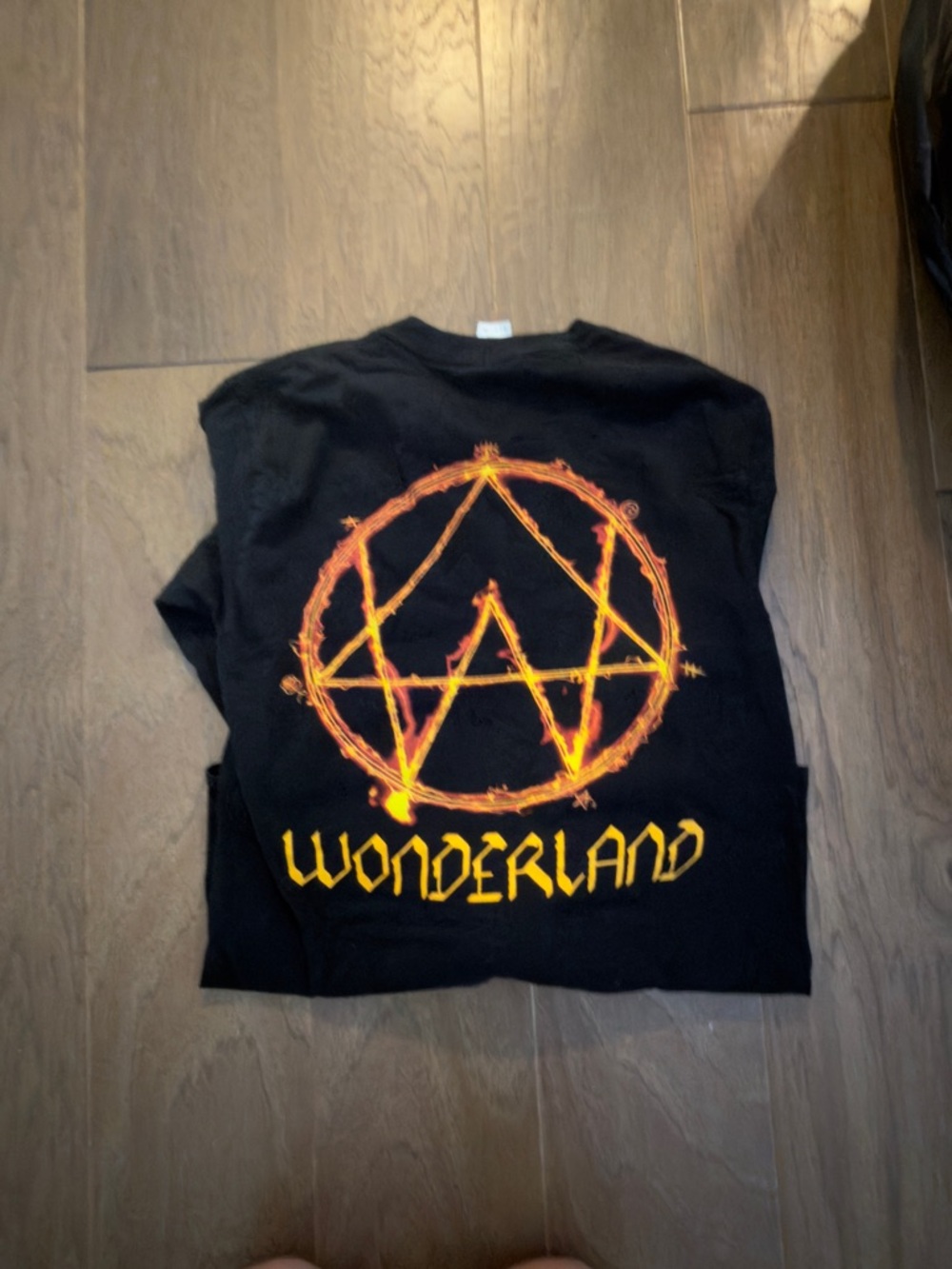 Alison wonderland T-shirt